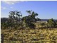 Tenterfield NSW 2372