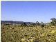 Tenterfield NSW 2372