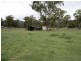 Tenterfield NSW 2372
