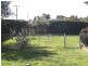 191 Logan Street, Tenterfield NSW 2372