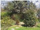 191 Logan Street, Tenterfield NSW 2372