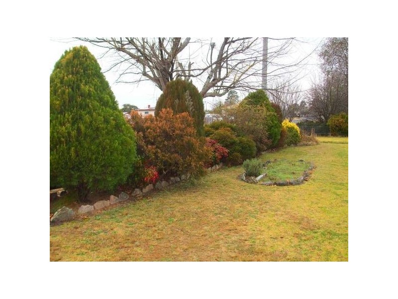 41 Derby Street, Tenterfield NSW 2372