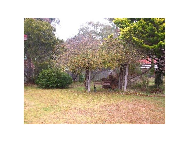 41 Derby Street, Tenterfield NSW 2372