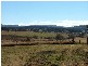 2 Old Ballandean Road, Tenterfield NSW 2372