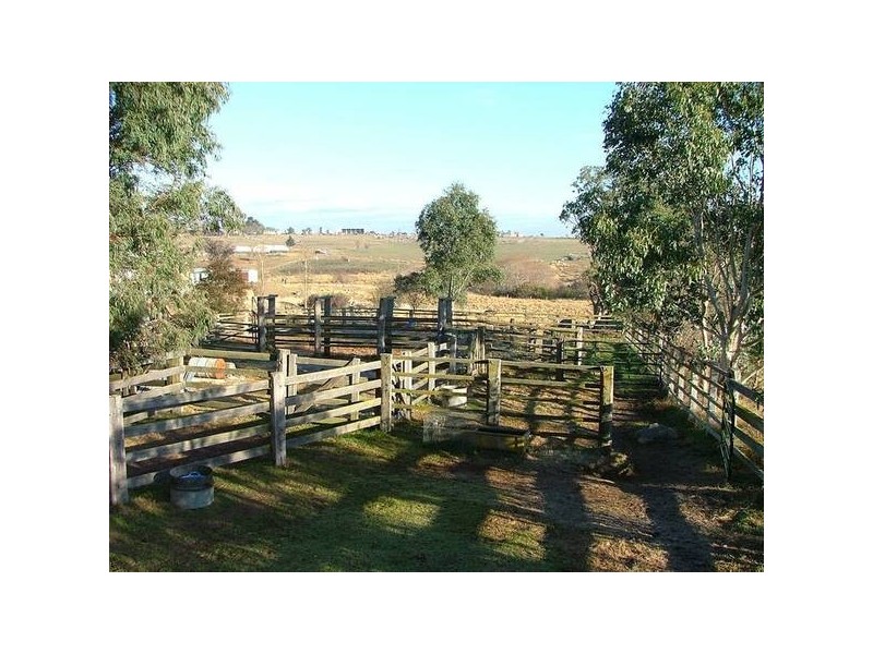2 Old Ballandean Road, Tenterfield NSW 2372