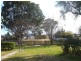 Tenterfield NSW 2372