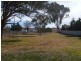 Tenterfield NSW 2372