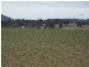 2 Ross Road, Tenterfield NSW 2372