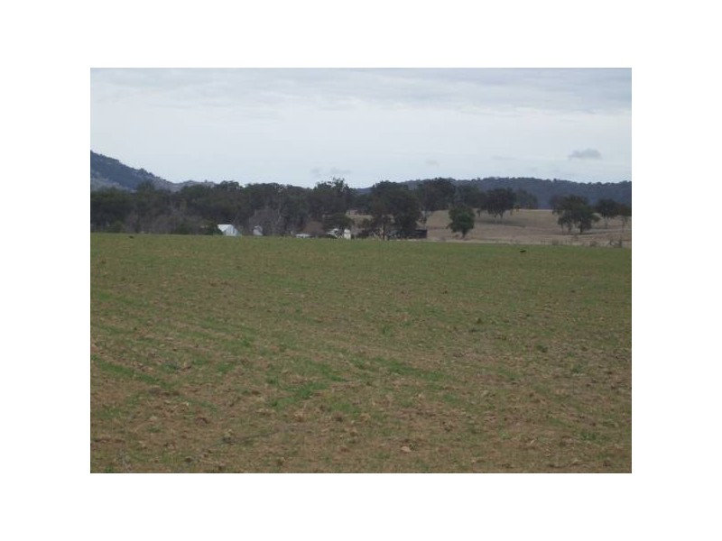 2 Ross Road, Tenterfield NSW 2372