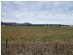2 Ross Road, Tenterfield NSW 2372