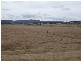2 Ross Road, Tenterfield NSW 2372