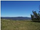 Kildare Road, Tenterfield NSW 2372