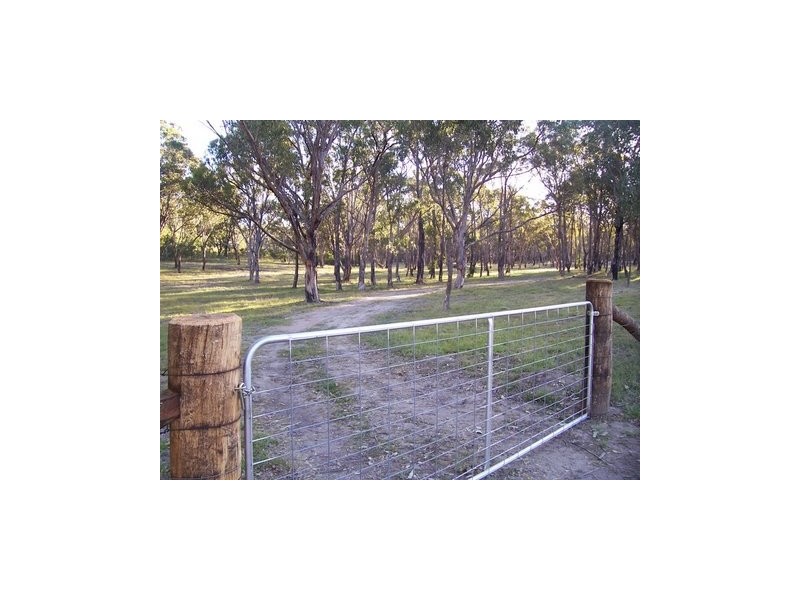 Kildare Road, Tenterfield NSW 2372