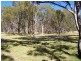 Kildare Road, Tenterfield NSW 2372