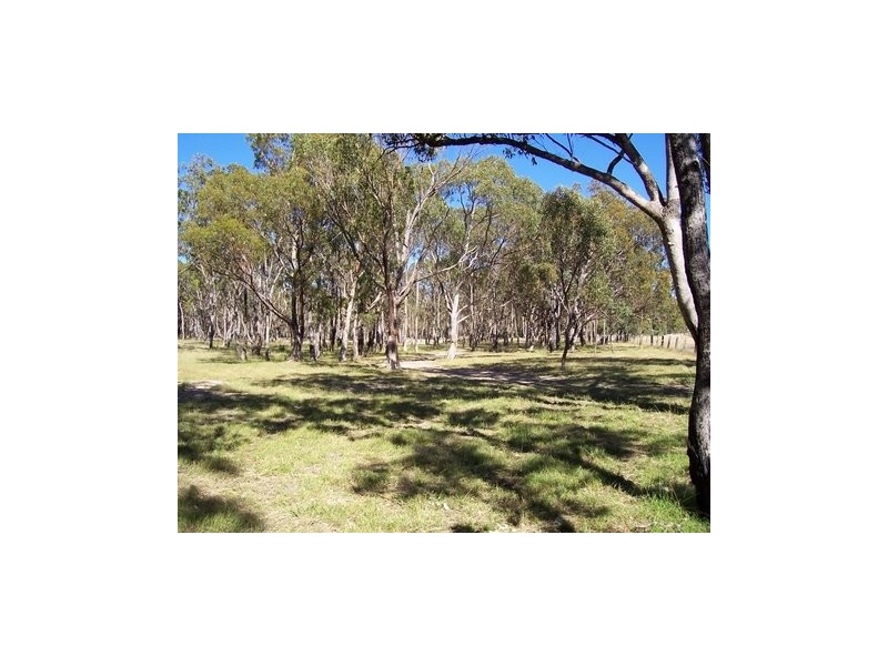 Kildare Road, Tenterfield NSW 2372