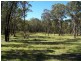 Kildare Road, Tenterfield NSW 2372