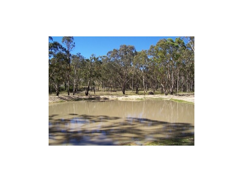 Kildare Road, Tenterfield NSW 2372