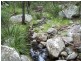 Kildare Road, Tenterfield NSW 2372