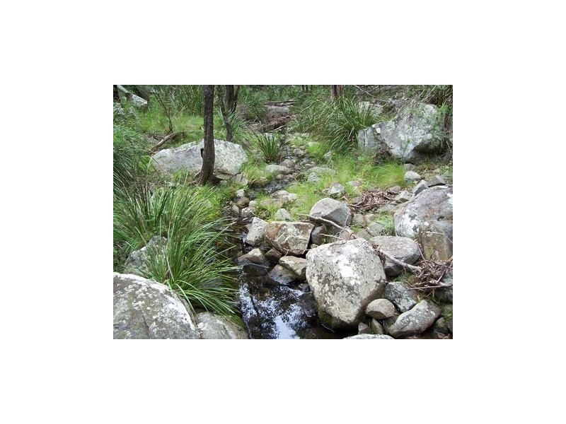 Kildare Road, Tenterfield NSW 2372