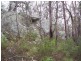 Kildare Road, Tenterfield NSW 2372