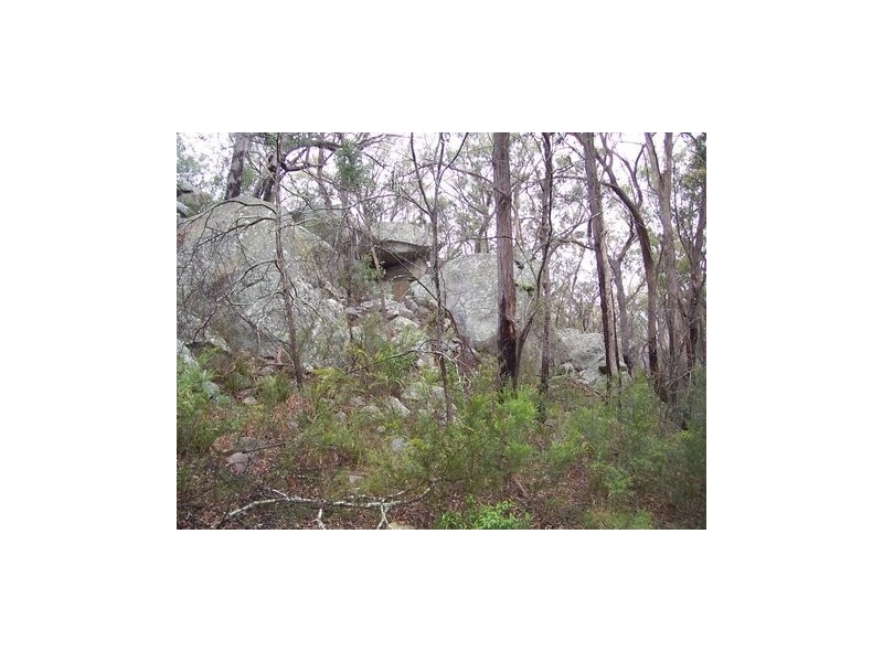 Kildare Road, Tenterfield NSW 2372