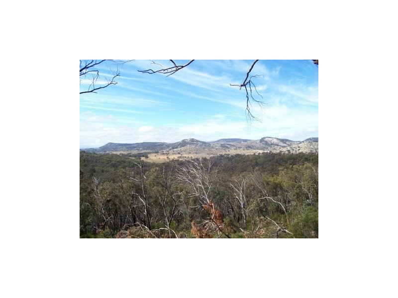 Kildare Road, Tenterfield NSW 2372