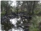 Tenterfield NSW 2372