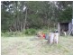 Tenterfield NSW 2372