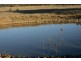 Tenterfield NSW 2372