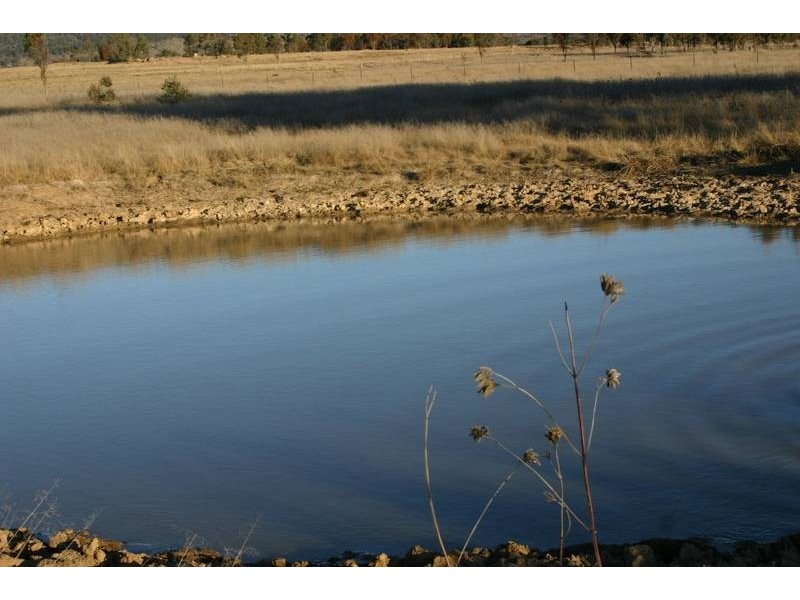Tenterfield NSW 2372