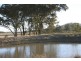 Tenterfield NSW 2372
