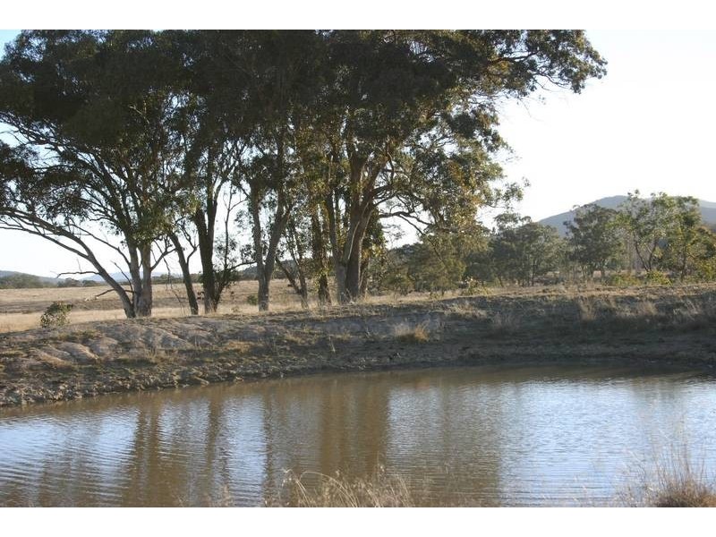 Tenterfield NSW 2372