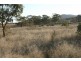 Tenterfield NSW 2372