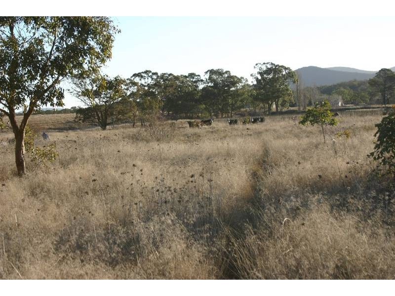Tenterfield NSW 2372