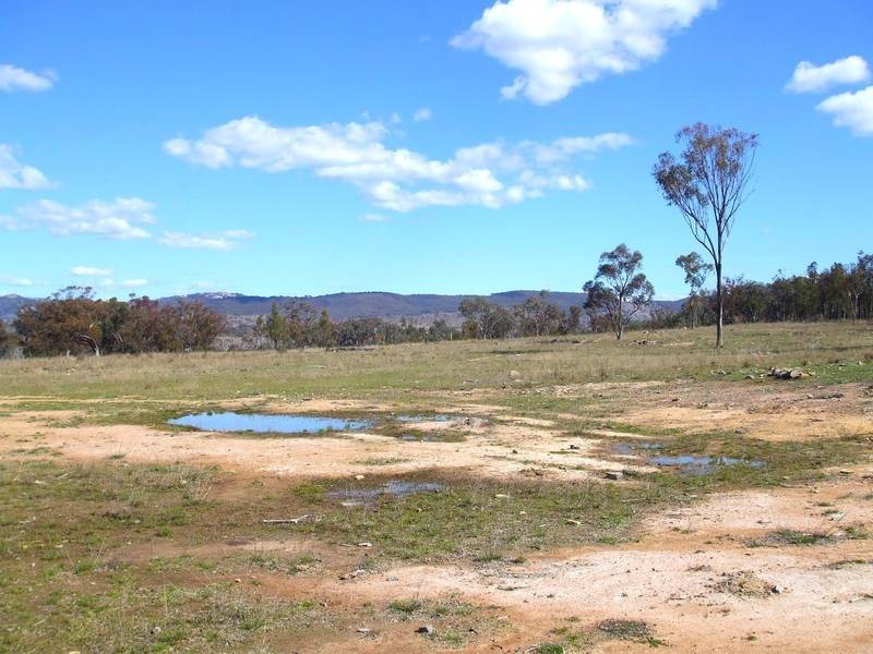 Tenterfield NSW 2372