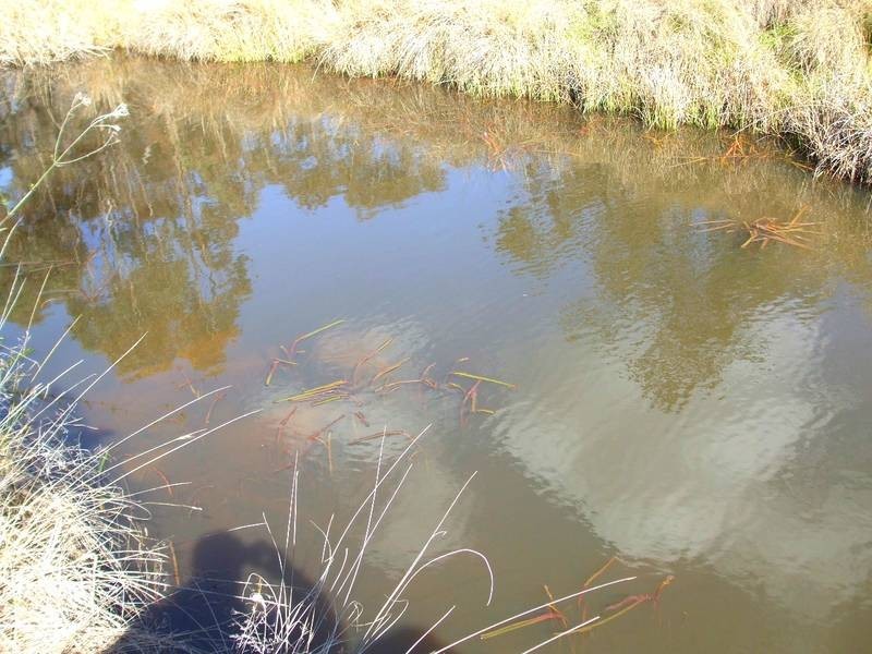 Tenterfield NSW 2372