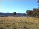 Tenterfield NSW 2372