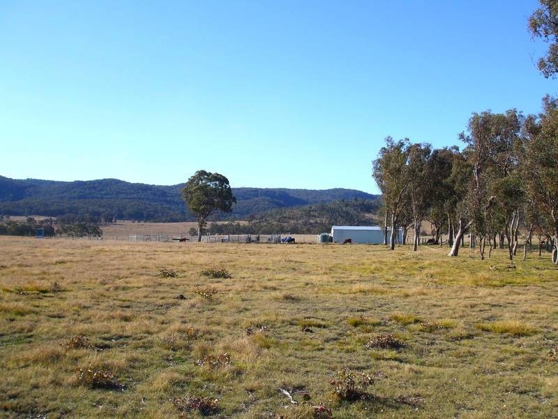 Tenterfield NSW 2372