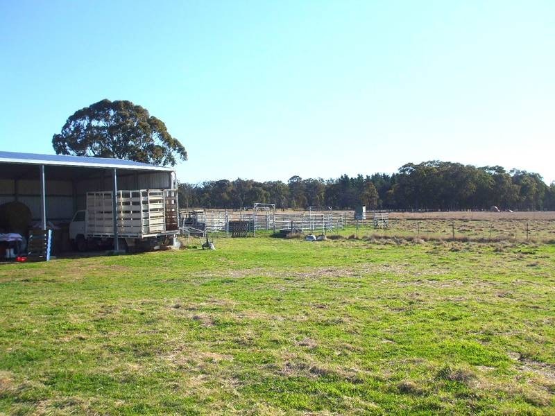 Tenterfield NSW 2372