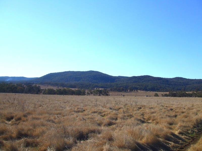 Tenterfield NSW 2372