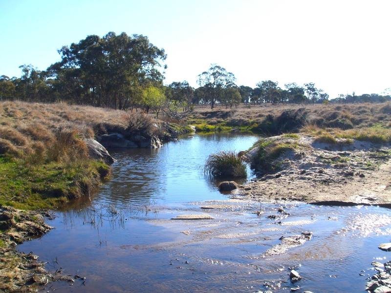 Tenterfield NSW 2372