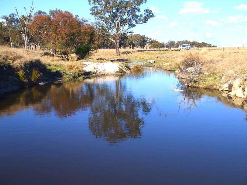 Tenterfield NSW 2372