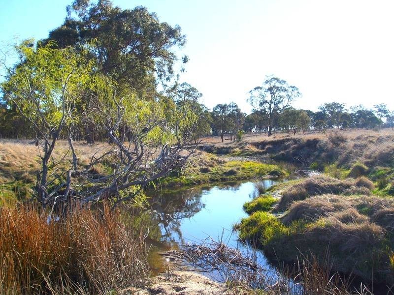 Tenterfield NSW 2372