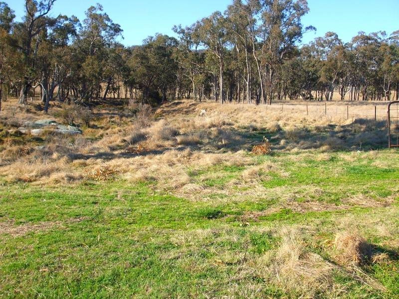 Tenterfield NSW 2372