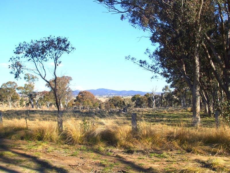 Tenterfield NSW 2372