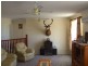 Wallangarra QLD 4383