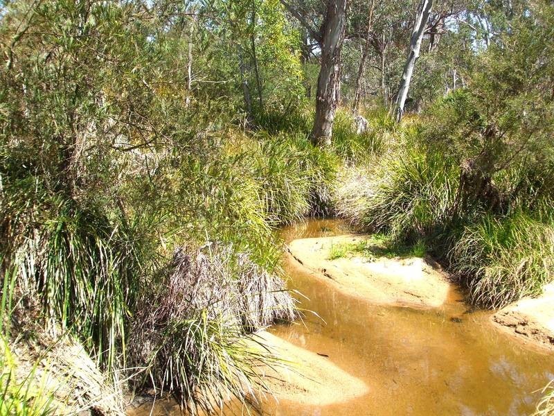 Tenterfield NSW 2372