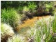 Tenterfield NSW 2372