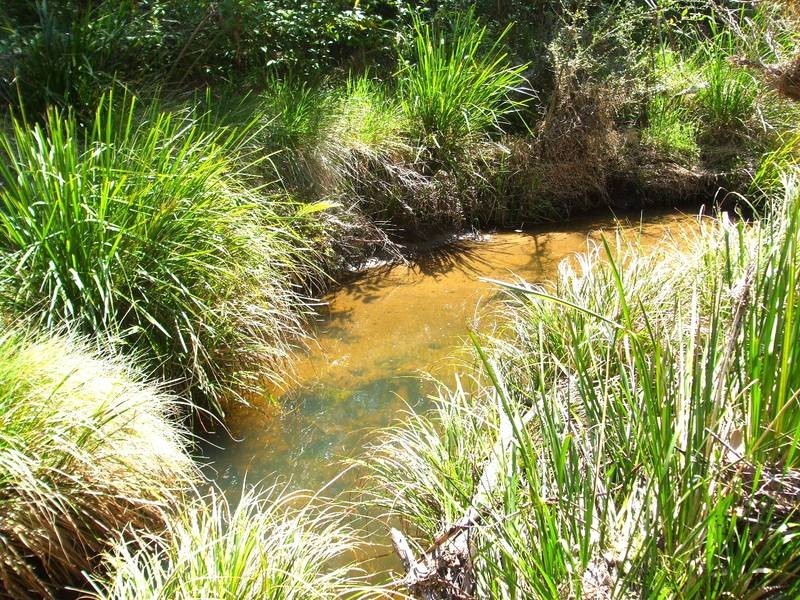 Tenterfield NSW 2372