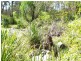 Tenterfield NSW 2372